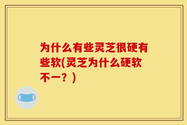 为什么有些灵芝很硬有些软(灵芝为什么硬软不一?) 为什么有些灵芝很硬有些软(灵芝为什么硬软不一?)