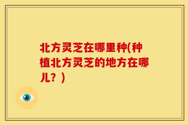 北方灵芝在哪里种(种植北方灵芝的地方在哪儿?) 北方灵芝在哪里种(种植北方灵芝的地方在哪儿?)
