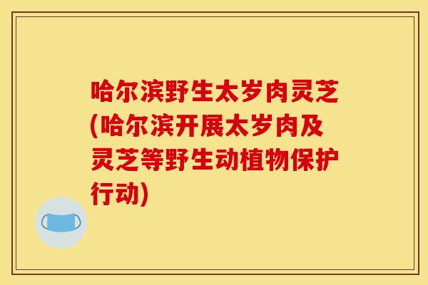 哈尔滨野生太岁肉灵芝(哈尔滨开展太岁肉及灵芝等野生动植物保护行动) 哈尔滨野生太岁肉灵芝(哈尔滨开展太岁肉及灵芝等野生动植物保护行动)