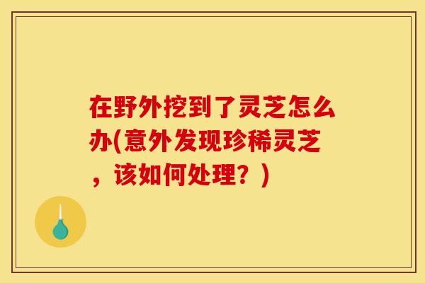 在野外挖到了灵芝怎么办(意外发现珍稀灵芝，该如何处理？)
