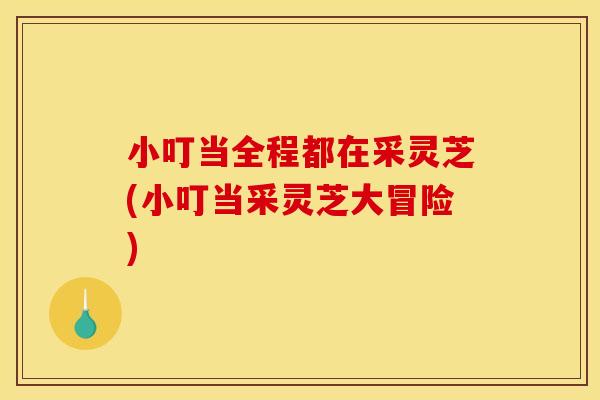 小叮当全程都在采灵芝(小叮当采灵芝大冒险) 小叮当全程都在采灵芝(小叮当采灵芝大冒险)