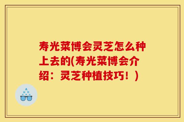 寿光菜博会灵芝怎么种上去的(寿光菜博会介绍:灵芝种植技巧!) 寿光菜博会灵芝怎么种上去的(寿光菜博会介绍:灵芝种植技巧!)