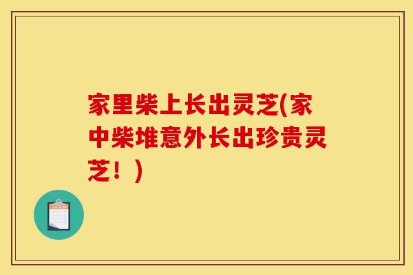 家里柴上长出灵芝(家中柴堆意外长出珍贵灵芝!) 家里柴上长出灵芝(家中柴堆意外长出珍贵灵芝!)