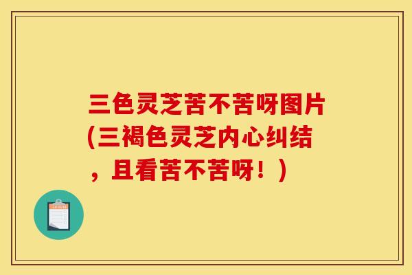 三色灵芝苦不苦呀图片(三褐色灵芝内心纠结,且看苦不苦呀!) 三色灵芝苦不苦呀图片(三褐色灵芝内心纠结,且看苦不苦呀!)