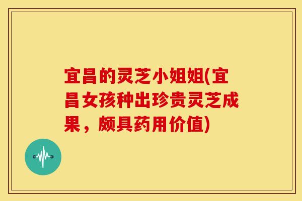 宜昌的灵芝小姐姐(宜昌女孩种出珍贵灵芝成果,颇具药用价值) 宜昌的灵芝小姐姐(宜昌女孩种出珍贵灵芝成果,颇具药用价值)