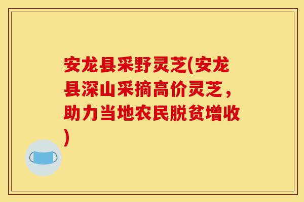 安龙县采野灵芝(安龙县深山采摘高价灵芝,助力当地农民脱贫增收) 安龙县采野灵芝(安龙县深山采摘高价灵芝,助力当地农民脱贫增收)