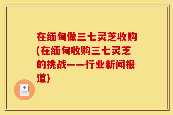 在缅甸做三七灵芝收购(在缅甸收购三七灵芝的挑战——行业新闻报道) 在缅甸做三七灵芝收购(在缅甸收购三七灵芝的挑战——行业新闻报道)