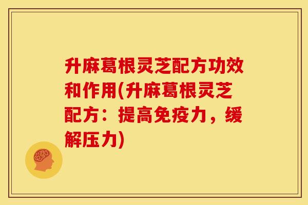 升麻葛根灵芝配方功效和作用(升麻葛根灵芝配方:提高免疫力,缓解压力) 升麻葛根灵芝配方功效和作用(升麻葛根灵芝配方:提高免疫力,缓解压力)
