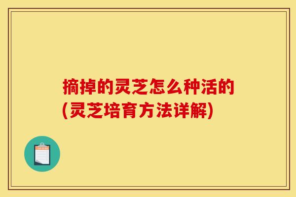 摘掉的灵芝怎么种活的(灵芝培育方法详解) 摘掉的灵芝怎么种活的(灵芝培育方法详解)