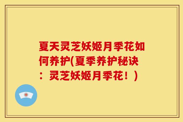 夏天灵芝妖姬月季花如何养护(夏季养护秘诀:灵芝妖姬月季花!) 夏天灵芝妖姬月季花如何养护(夏季养护秘诀:灵芝妖姬月季花!)