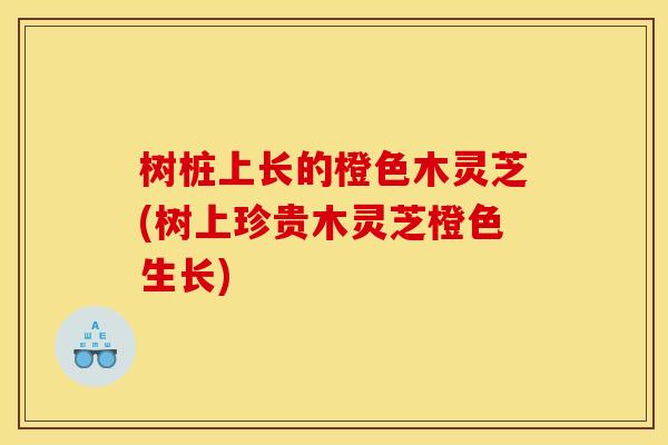 树桩上长的橙色木灵芝(树上珍贵木灵芝橙色生长) 树桩上长的橙色木灵芝(树上珍贵木灵芝橙色生长)