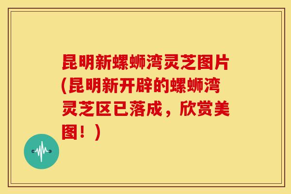 昆明新螺蛳湾灵芝图片(昆明新开辟的螺蛳湾灵芝区已落成,欣赏美图!) 昆明新螺蛳湾灵芝图片(昆明新开辟的螺蛳湾灵芝区已落成,欣赏美图!)