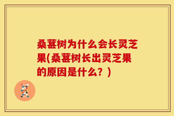 桑葚树为什么会长灵芝果(桑葚树长出灵芝果的原因是什么?) 桑葚树为什么会长灵芝果(桑葚树长出灵芝果的原因是什么?)