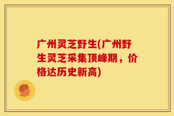 广州灵芝野生(广州野生灵芝采集顶峰期,价格达历史新高) 广州灵芝野生(广州野生灵芝采集顶峰期,价格达历史新高)