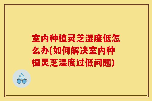 室内种植灵芝湿度低怎么办(如何解决室内种植灵芝湿度过低问题) 室内种植灵芝湿度低怎么办(如何解决室内种植灵芝湿度过低问题)