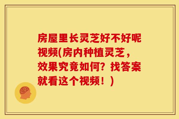 房屋里长灵芝好不好呢视频(房内种植灵芝,效果究竟如何?找答案就看这个视频!) 房屋里长灵芝好不好呢视频(房内种植灵芝,效果究竟如何?找答案就看这个视频!)