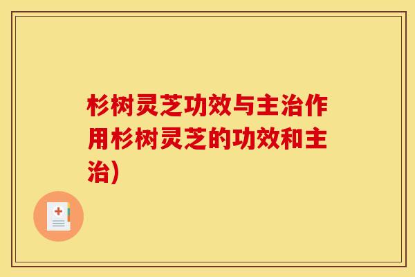 杉树灵芝功效与主作用杉树灵芝的功效和主) 杉树灵芝功效与主作用杉树灵芝的功效和主)