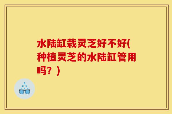 水陆缸栽灵芝好不好(种植灵芝的水陆缸管用吗?) 水陆缸栽灵芝好不好(种植灵芝的水陆缸管用吗?)