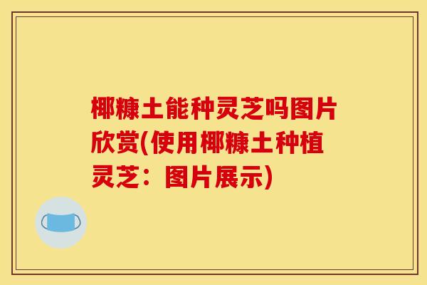椰糠土能种灵芝吗图片欣赏(使用椰糠土种植灵芝:图片展示) 椰糠土能种灵芝吗图片欣赏(使用椰糠土种植灵芝:图片展示)