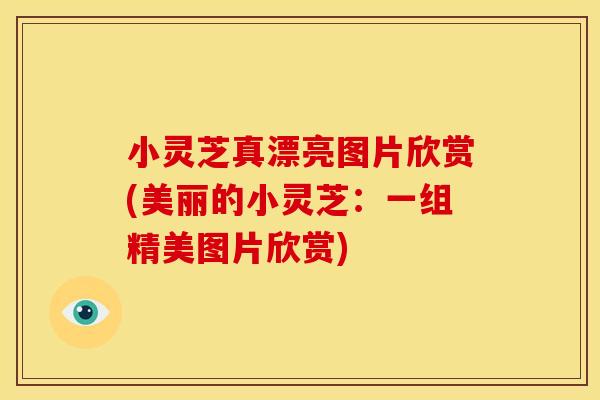 小灵芝真漂亮图片欣赏(美丽的小灵芝:一组精美图片欣赏) 小灵芝真漂亮图片欣赏(美丽的小灵芝:一组精美图片欣赏)