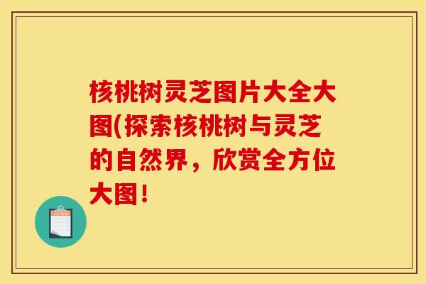 核桃树灵芝图片大全大图(探索核桃树与灵芝的自然界,欣赏全方位大图! 核桃树灵芝图片大全大图(探索核桃树与灵芝的自然界,欣赏全方位大图!