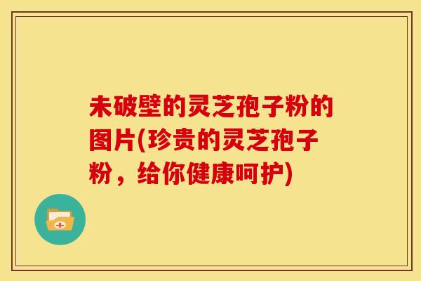 未破壁的灵芝孢子粉的图片(珍贵的灵芝孢子粉,给你健康呵护) 未破壁的灵芝孢子粉的图片(珍贵的灵芝孢子粉,给你健康呵护)