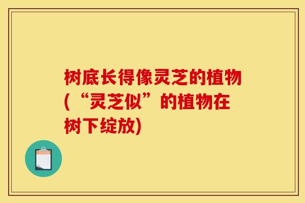 树底长得像灵芝的植物(“灵芝似”的植物在树下绽放) 树底长得像灵芝的植物(“灵芝似”的植物在树下绽放)