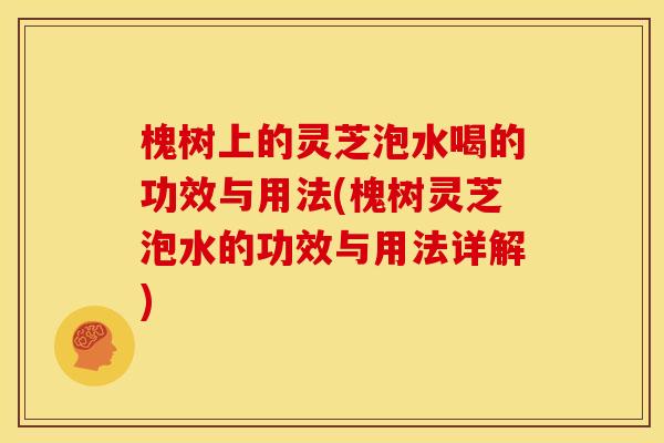 槐树上的灵芝泡水喝的功效与用法(槐树灵芝泡水的功效与用法详解) 槐树上的灵芝泡水喝的功效与用法(槐树灵芝泡水的功效与用法详解)