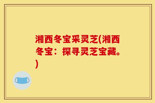湘西冬宝采灵芝(湘西冬宝:探寻灵芝宝藏。) 湘西冬宝采灵芝(湘西冬宝:探寻灵芝宝藏。)