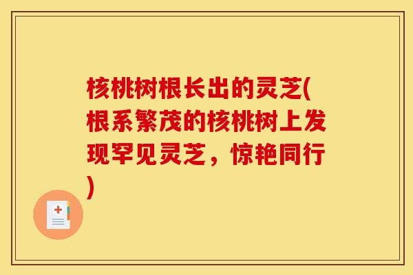 核桃树根长出的灵芝(根系繁茂的核桃树上发现罕见灵芝,惊艳同行) 核桃树根长出的灵芝(根系繁茂的核桃树上发现罕见灵芝,惊艳同行)