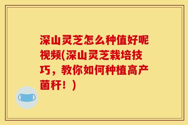 深山灵芝怎么种值好呢视频(深山灵芝栽培技巧,教你如何种植高产菌秆!) 深山灵芝怎么种值好呢视频(深山灵芝栽培技巧,教你如何种植高产菌秆!)