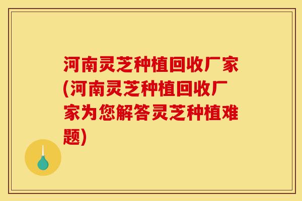 河南灵芝种植回收厂家(河南灵芝种植回收厂家为您解答灵芝种植难题)