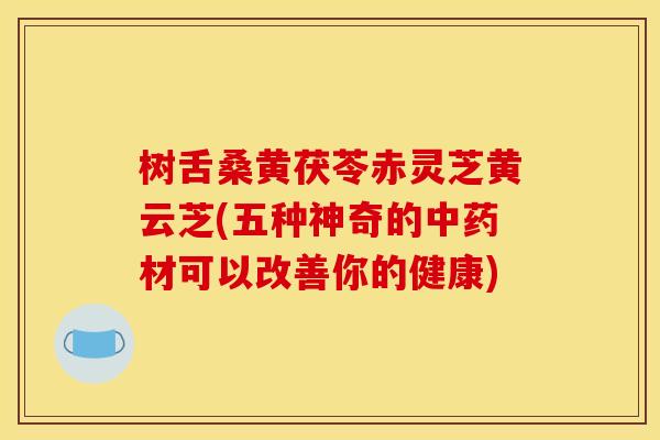 树舌桑黄茯苓赤灵芝黄云芝(五种神奇的材可以改善你的健康) 树舌桑黄茯苓赤灵芝黄云芝(五种神奇的材可以改善你的健康)