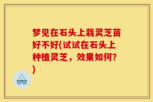 梦见在石头上栽灵芝苗好不好(试试在石头上种植灵芝,效果如何?) 梦见在石头上栽灵芝苗好不好(试试在石头上种植灵芝,效果如何?)