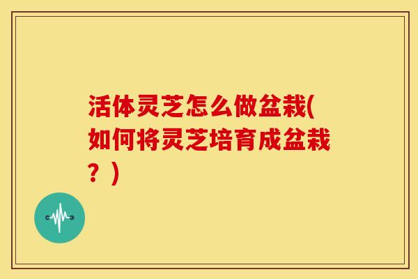 活体灵芝怎么做盆栽(如何将灵芝培育成盆栽?) 活体灵芝怎么做盆栽(如何将灵芝培育成盆栽?)