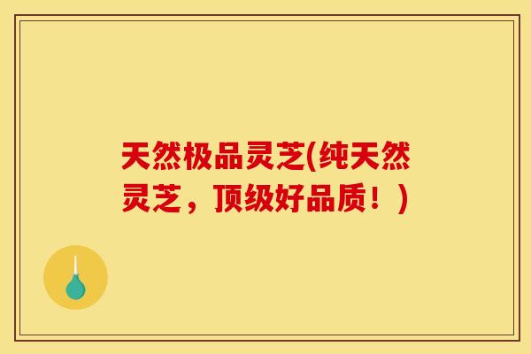 天然极品灵芝(纯天然灵芝,好品质!) 天然极品灵芝(纯天然灵芝,好品质!)