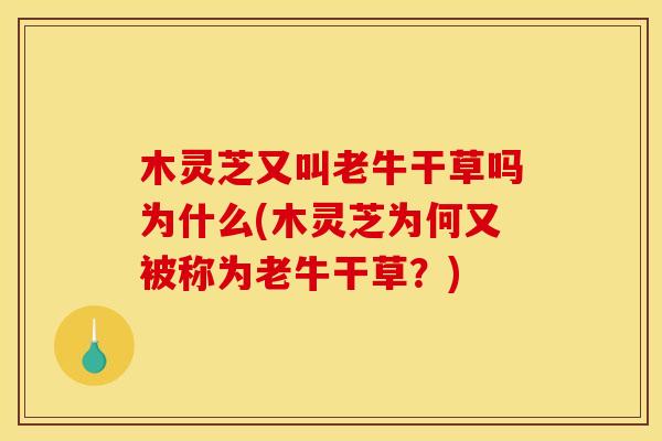 木灵芝又叫老牛干草吗为什么(木灵芝为何又被称为老牛干草?) 木灵芝又叫老牛干草吗为什么(木灵芝为何又被称为老牛干草?)