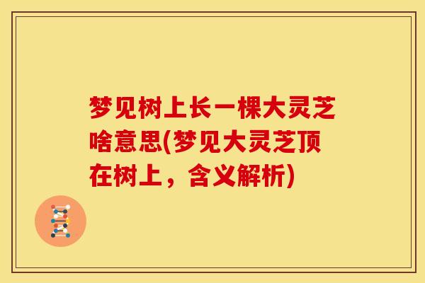 梦见树上长一棵大灵芝啥意思(梦见大灵芝顶在树上,含义解析) 梦见树上长一棵大灵芝啥意思(梦见大灵芝顶在树上,含义解析)