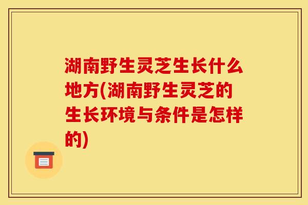 湖南野生灵芝生长什么地方(湖南野生灵芝的生长环境与条件是怎样的) 湖南野生灵芝生长什么地方(湖南野生灵芝的生长环境与条件是怎样的)