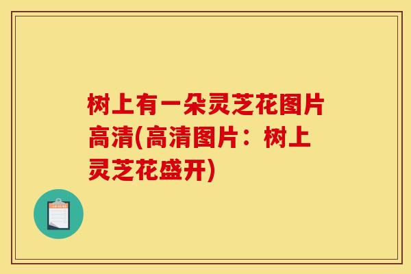 树上有一朵灵芝花图片高清(高清图片:树上灵芝花盛开) 树上有一朵灵芝花图片高清(高清图片:树上灵芝花盛开)