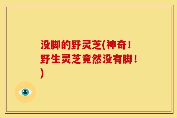 没脚的野灵芝(神奇!野生灵芝竟然没有脚!) 没脚的野灵芝(神奇!野生灵芝竟然没有脚!)