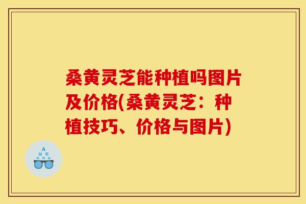 桑黄灵芝能种植吗图片及价格(桑黄灵芝:种植技巧、价格与图片) 桑黄灵芝能种植吗图片及价格(桑黄灵芝:种植技巧、价格与图片)