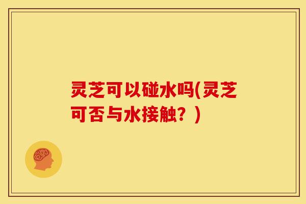 灵芝可以碰水吗(灵芝可否与水接触?) 灵芝可以碰水吗(灵芝可否与水接触?)