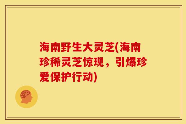 海南野生大灵芝(海南珍稀灵芝惊现,引爆珍爱保护行动) 海南野生大灵芝(海南珍稀灵芝惊现,引爆珍爱保护行动)
