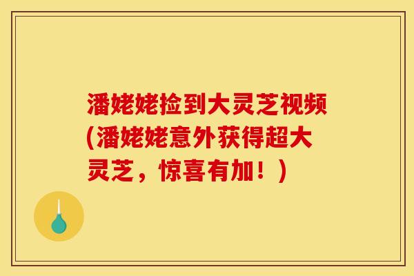 潘姥姥捡到大灵芝视频(潘姥姥意外获得超大灵芝,惊喜有加!) 潘姥姥捡到大灵芝视频(潘姥姥意外获得超大灵芝,惊喜有加!)