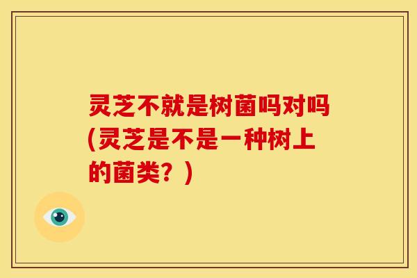 灵芝不就是树菌吗对吗(灵芝是不是一种树上的菌类?) 灵芝不就是树菌吗对吗(灵芝是不是一种树上的菌类?)