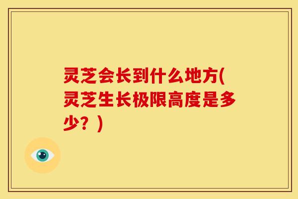 灵芝会长到什么地方(灵芝生长极限高度是多少?) 灵芝会长到什么地方(灵芝生长极限高度是多少?)