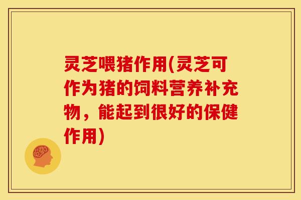 灵芝喂猪作用(灵芝可作为猪的饲料营养补充物,能起到很好的保健作用) 灵芝喂猪作用(灵芝可作为猪的饲料营养补充物,能起到很好的保健作用)