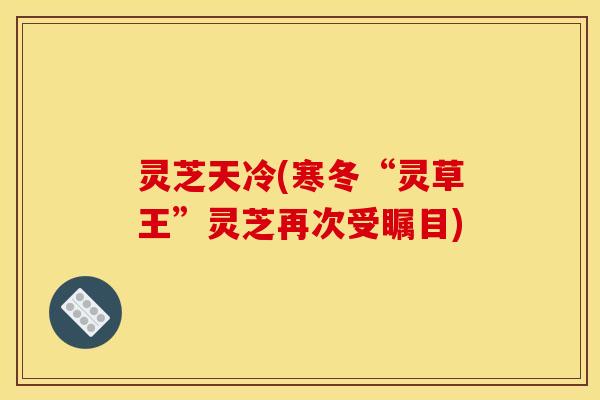 灵芝天冷(寒冬“灵草王”灵芝再次受瞩目) 灵芝天冷(寒冬“灵草王”灵芝再次受瞩目)