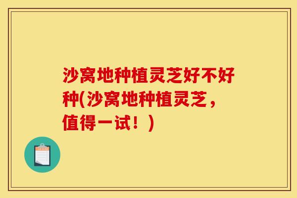 沙窝地种植灵芝好不好种(沙窝地种植灵芝,值得一试!) 沙窝地种植灵芝好不好种(沙窝地种植灵芝,值得一试!)